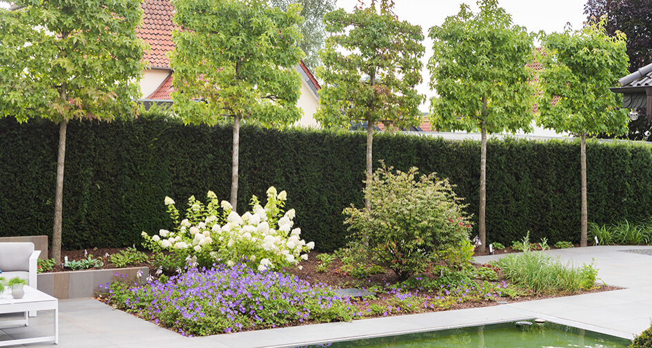 Gartengestaltung und Planung - Rasche GmbH